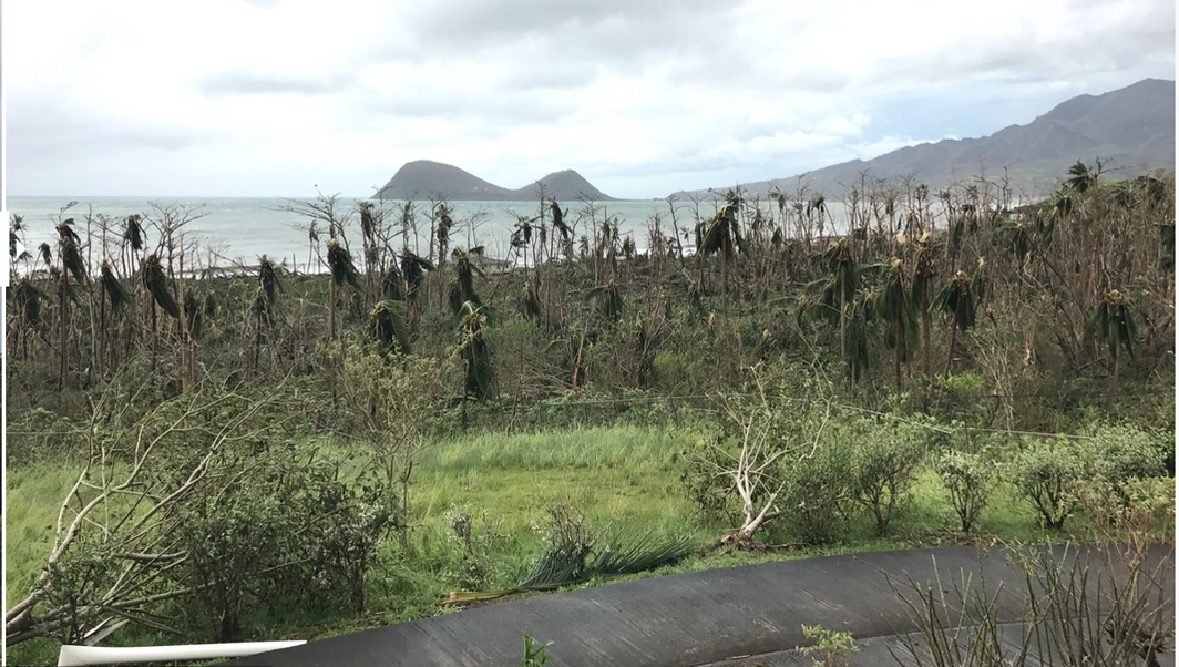 Information Technology  for Dominica Foundation; Hurricane Maria